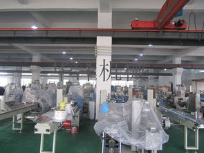 中小企業(yè)福音 溫州產(chǎn)多功能食品包裝機(jī)與軟件開(kāi)發(fā)服務(wù)，一站式高性價(jià)比解決方案