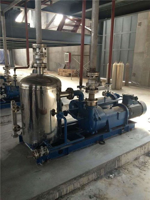 水環(huán)真空泵維修與化工設(shè)備維護(hù) 從惠東案例看專業(yè)真空泵廠家的服務(wù)價(jià)值